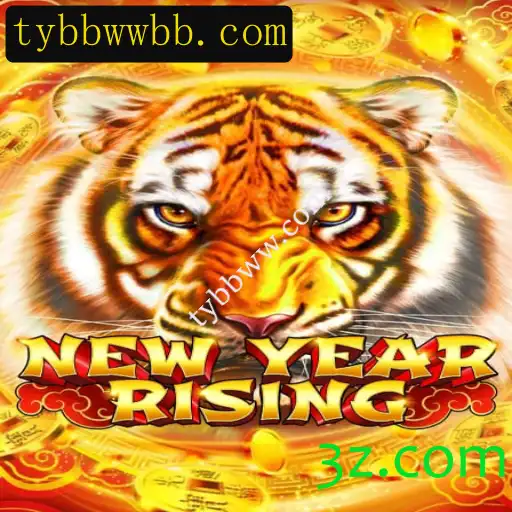 Tudo o que você precisa saber sobre o emocionante jogo NewYearRising